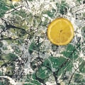 The Stone Roses: Albums and Singles
